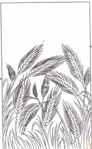 art glass shower design